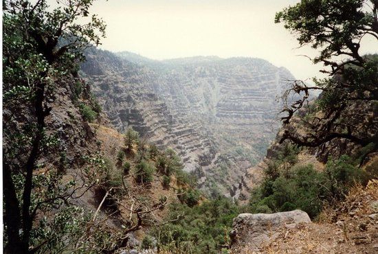 Day Forest National Park